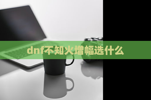 dnf不知火增幅选什么