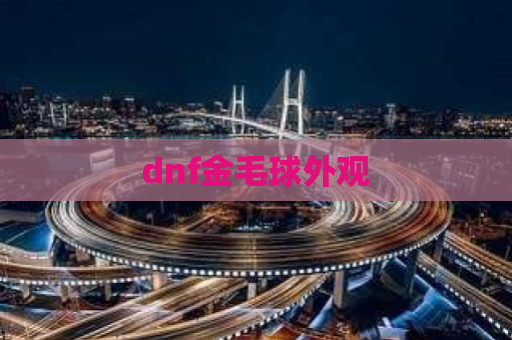 dnf金毛球外观